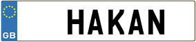 Truck License Plate